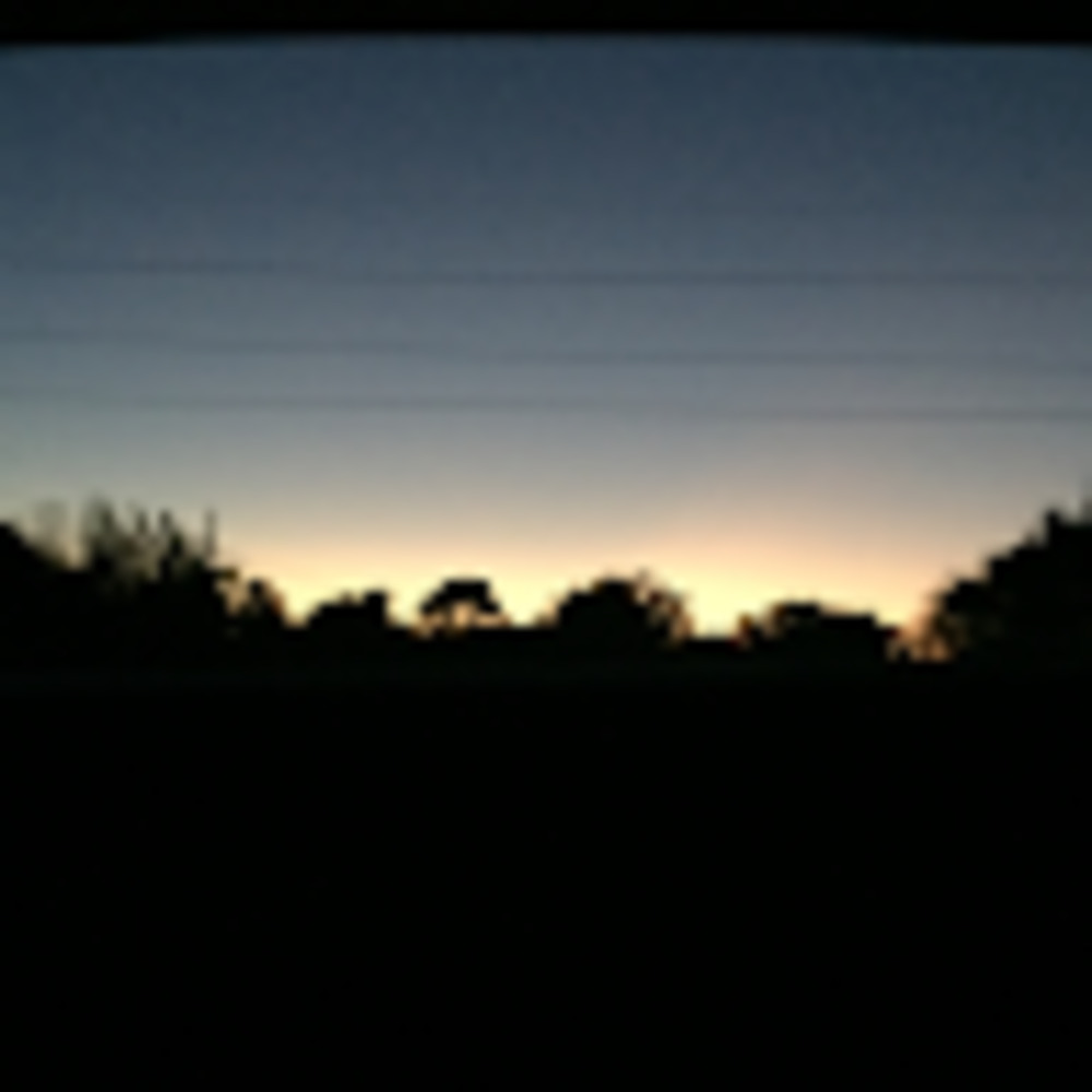 Meet your Posher, Evie